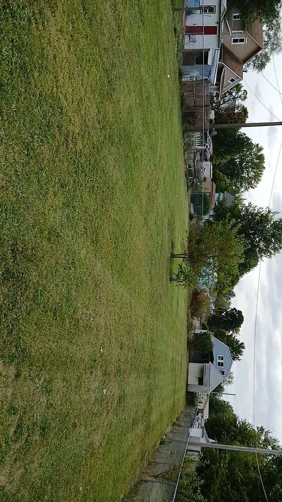 Local landscape design in Weston, OH - Bearded Property Management