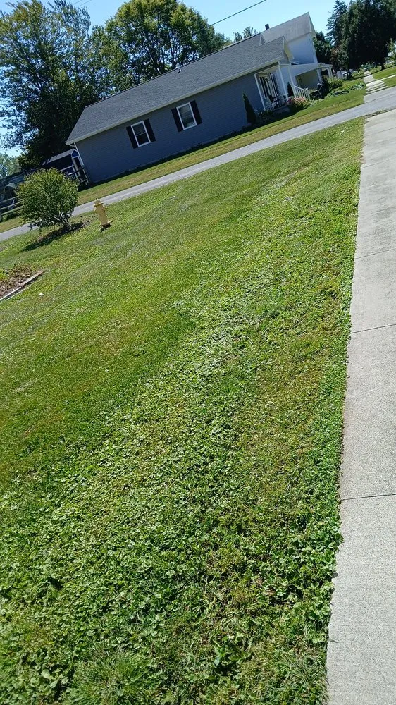 Professional landscape design in Weston, OH - Bearded Property Management