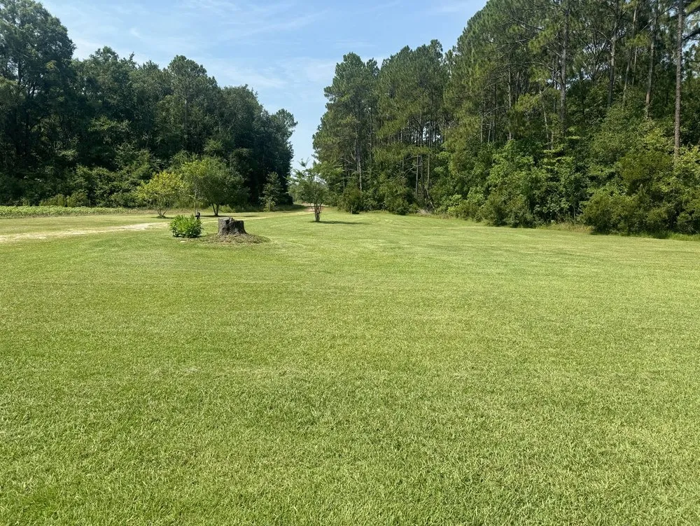 Top-rated yard maintenance in Glennville, GA - Beards Creek Lawn Care