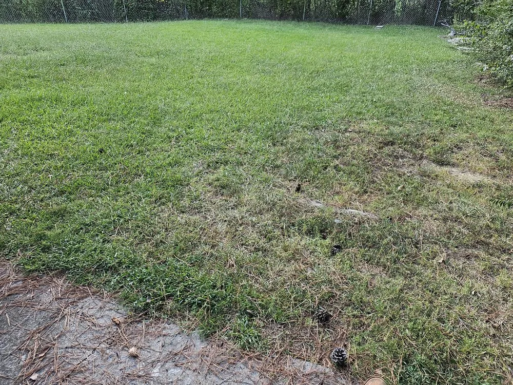 Affordable landscaping services in Rome, GA by Beards Lawncare