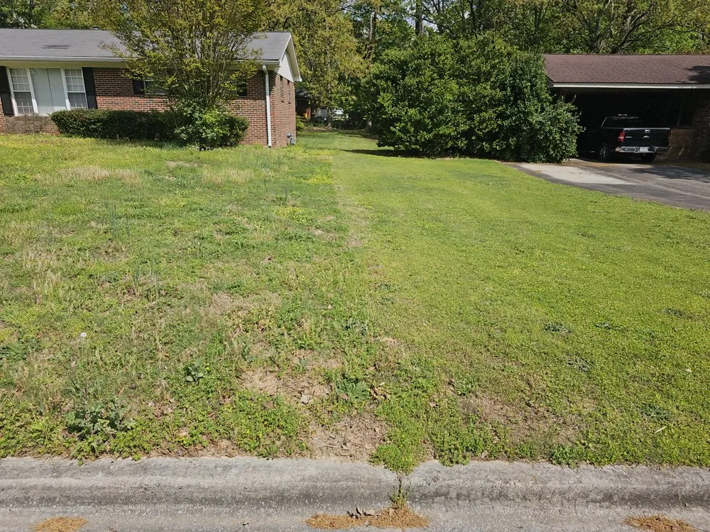 Expert landscape installation for outdoor upgrades in Rome, GA by Beards Lawncare
