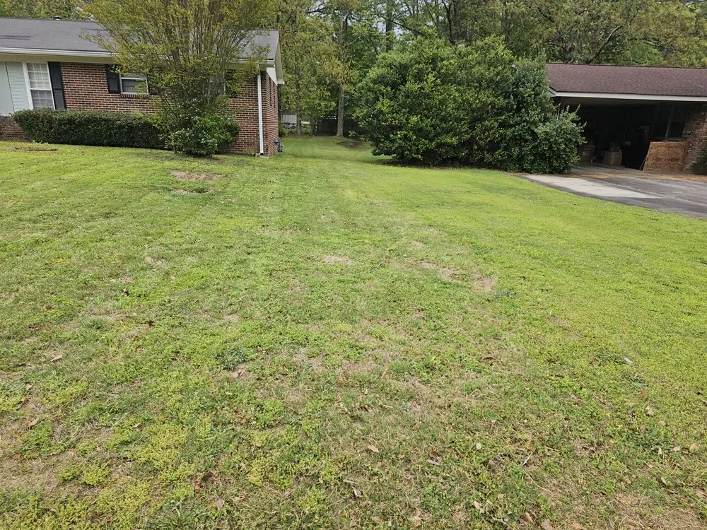 Affordable landscape design for homes across Rome, GA - Beards Lawncare