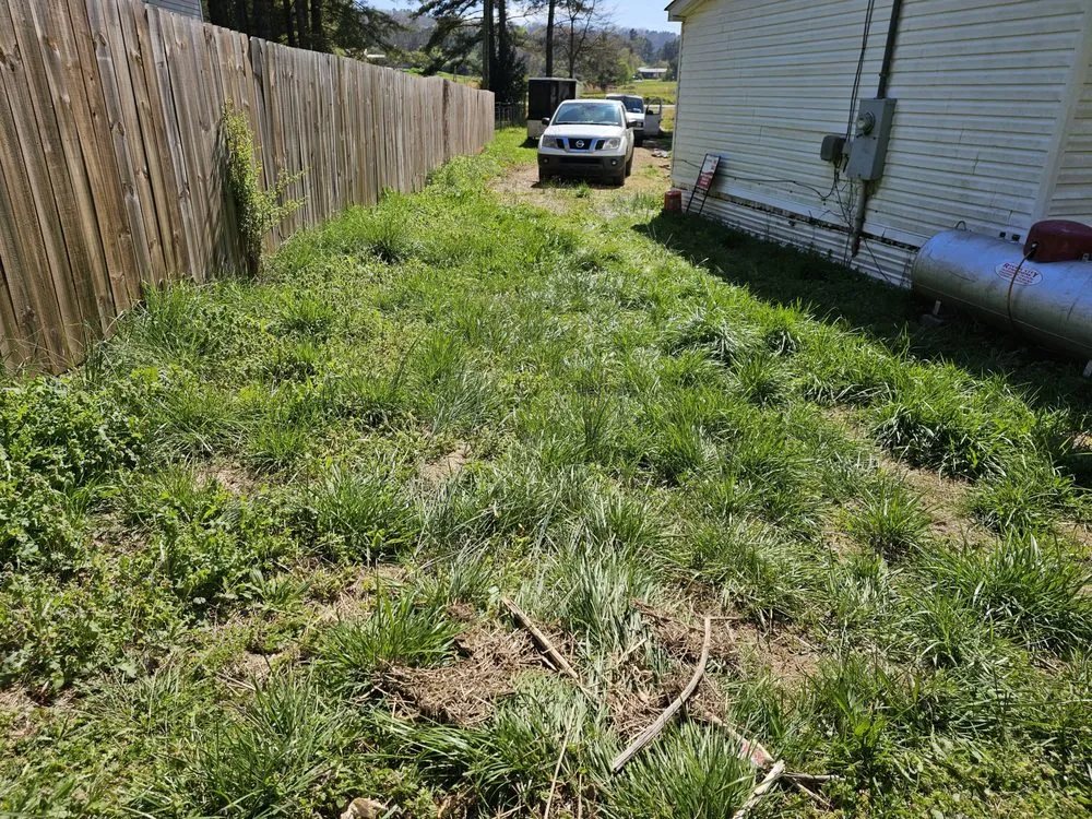 Affordable landscaping services experts serving Rome, GA - Beards Lawncare