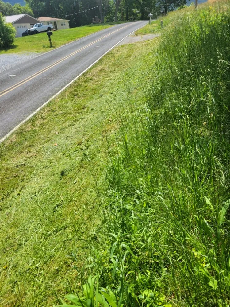 Custom lawn care service near you across Morganton, NC - Beardscapes