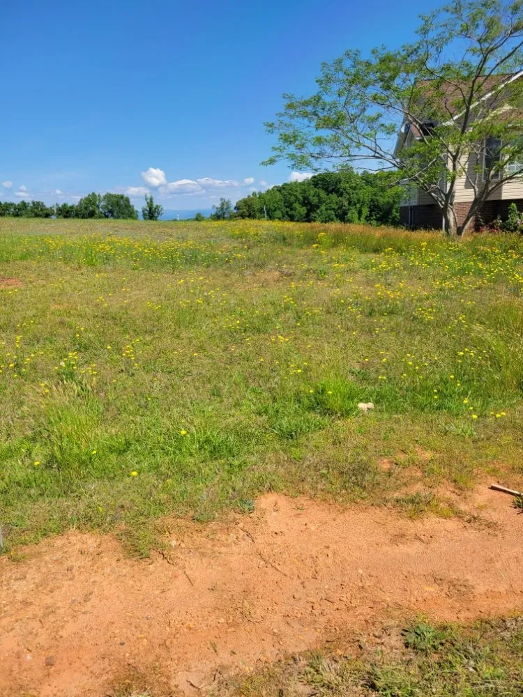 Expert lawn care service in Morganton, NC by Beardscapes