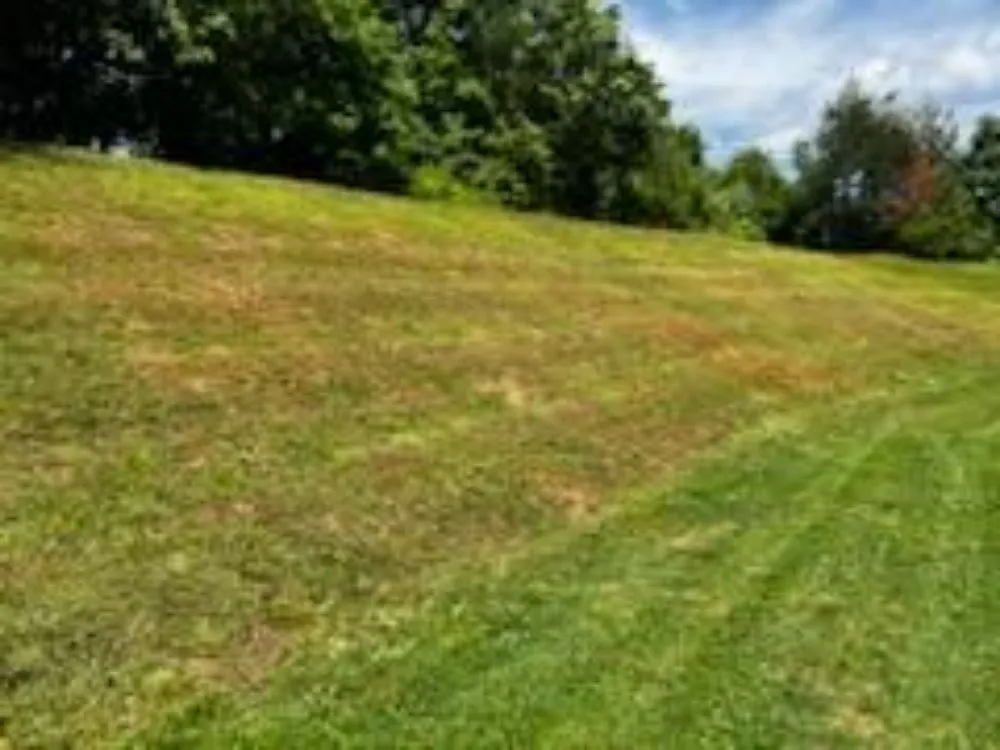 Expert yard maintenance experts serving Morganton, NC - Beardscapes