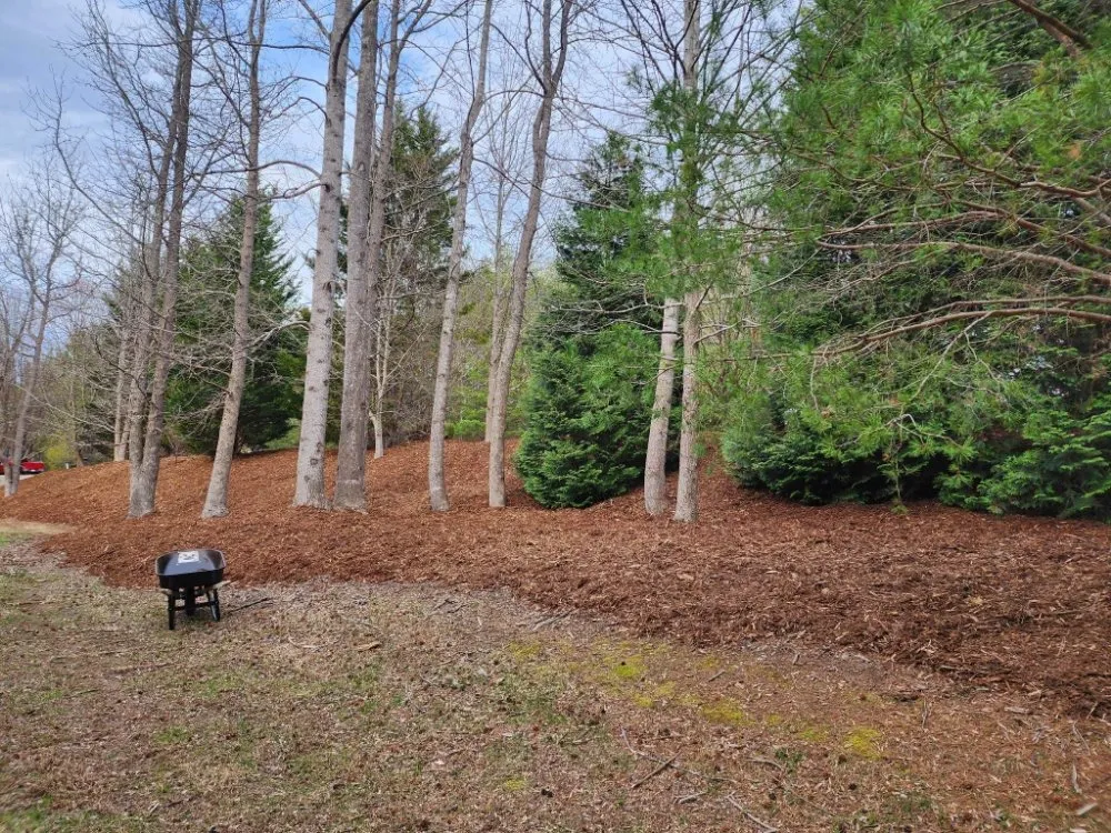 Reliable yard maintenance for outdoor upgrades across Morganton, NC - Beardscapes