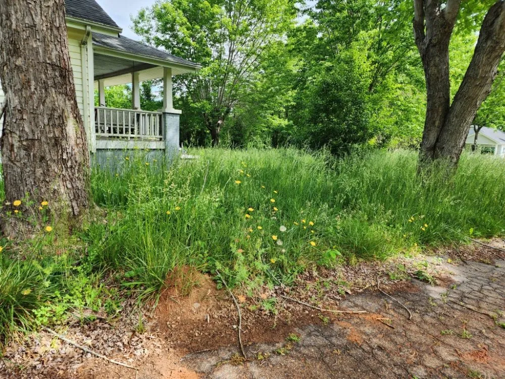 Trusted landscaping services in Morganton, NC - Beardscapes