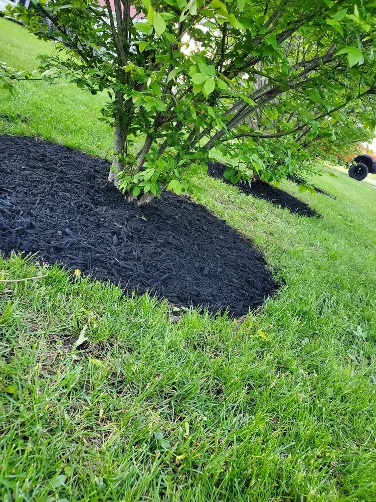 Trusted garden landscaping for beautiful yards across Hamlin, NY - Beardslee Home Remodeling and Landscape