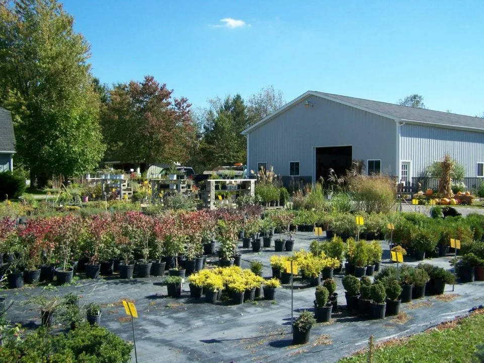 Trusted lawn mowing service in Chesaning, MI by Beardslee's Tree Farm & Nursery