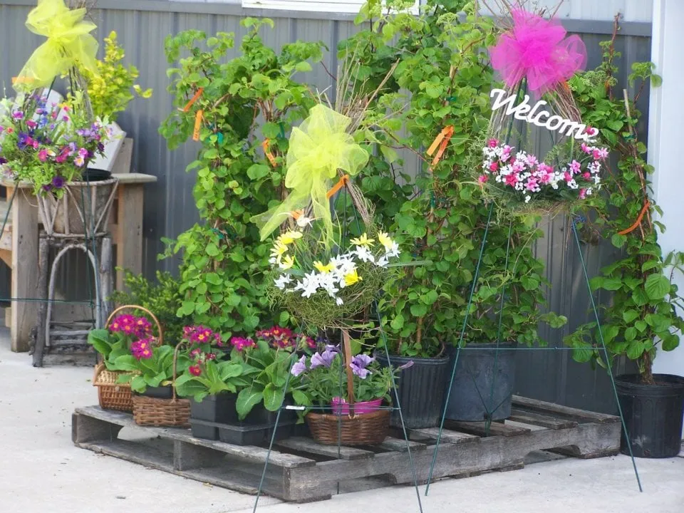 Custom yard maintenance experts serving Chesaning, MI - Beardslee's Tree Farm & Nursery