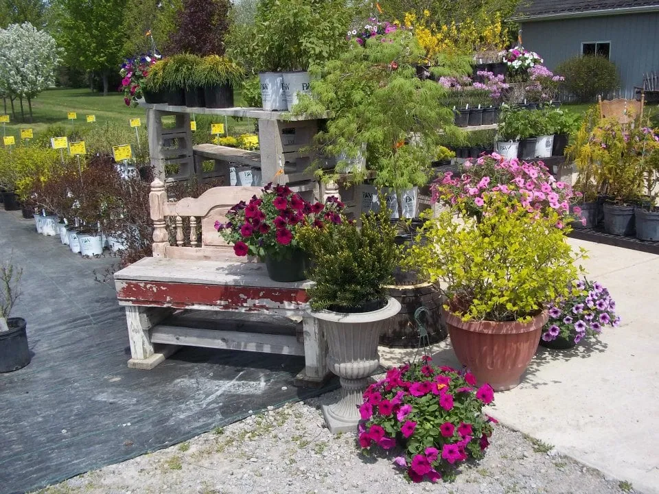 Local landscape installation experts serving Chesaning, MI - Beardslee's Tree Farm & Nursery