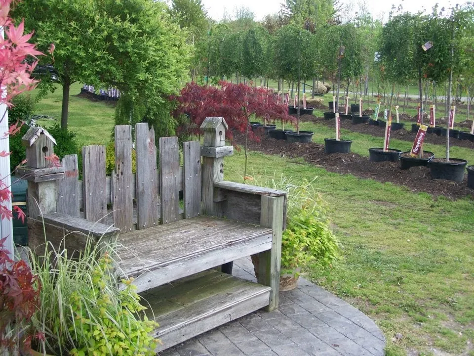 Reliable outdoor landscaping for beautiful yards across Chesaning, MI - Beardslee's Tree Farm & Nursery