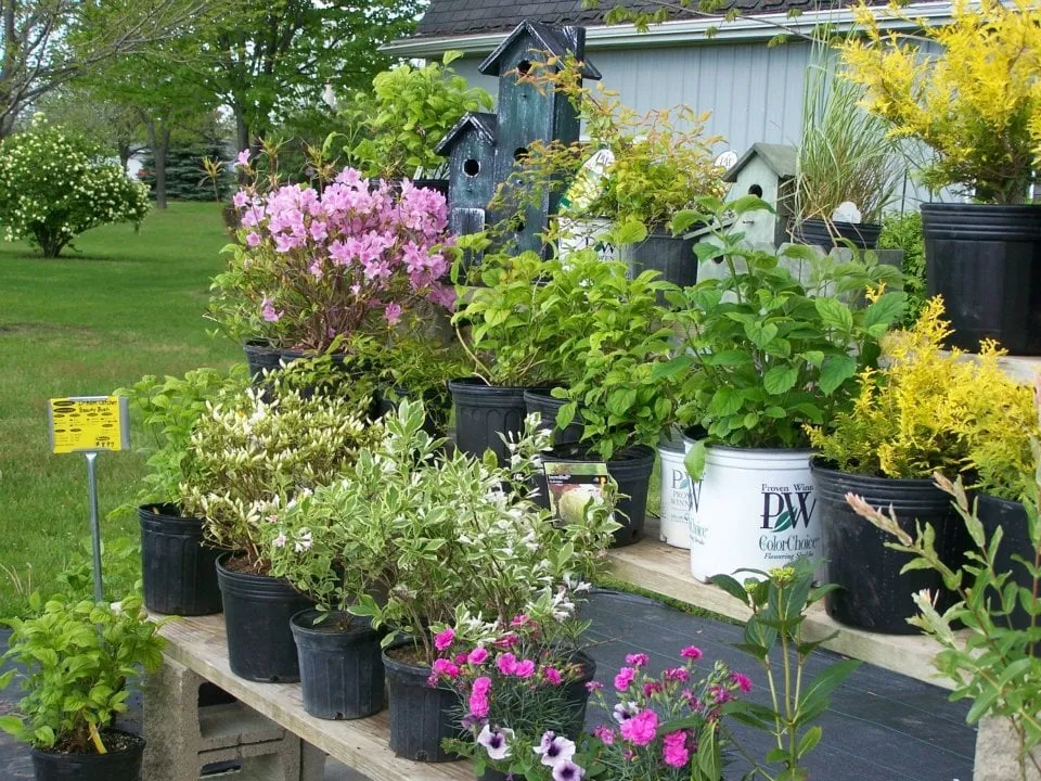 Custom yard maintenance experts serving Chesaning, MI - Beardslee's Tree Farm & Nursery