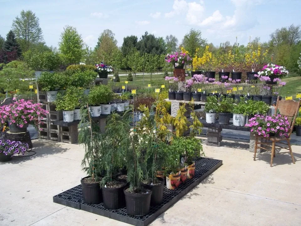 Reliable residential landscaping in Chesaning, MI by Beardslee's Tree Farm & Nursery