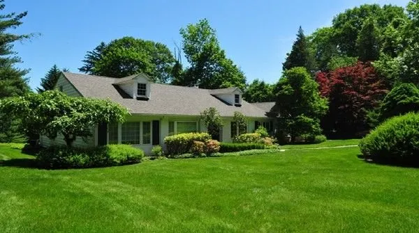 Professional yard cleanup service for outdoor upgrades across Macon, GA - Bears Exterior Pros