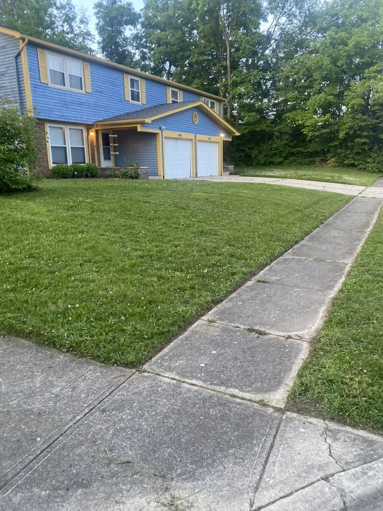 Local yard cleanup service in Dayton, OH - Bears Handyman Service