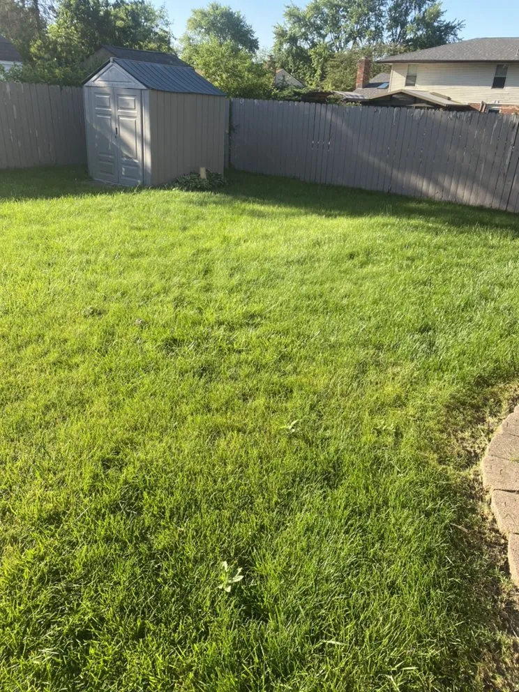 Local lawn care service in Dayton, OH by Bears Handyman Service