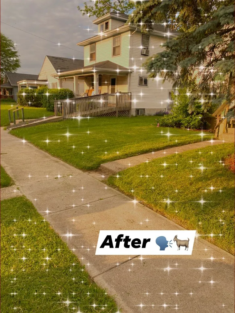 Local lawn care service for outdoor upgrades across Dayton, OH - Bears Handyman Service