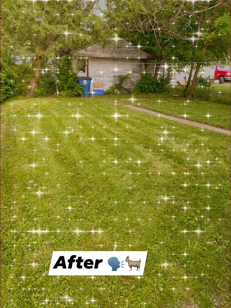 Reliable yard cleanup service experts serving Dayton, OH - Bears Handyman Service