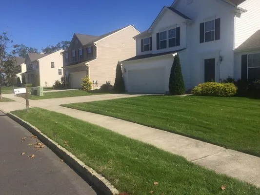 Bears Head Lawn Care