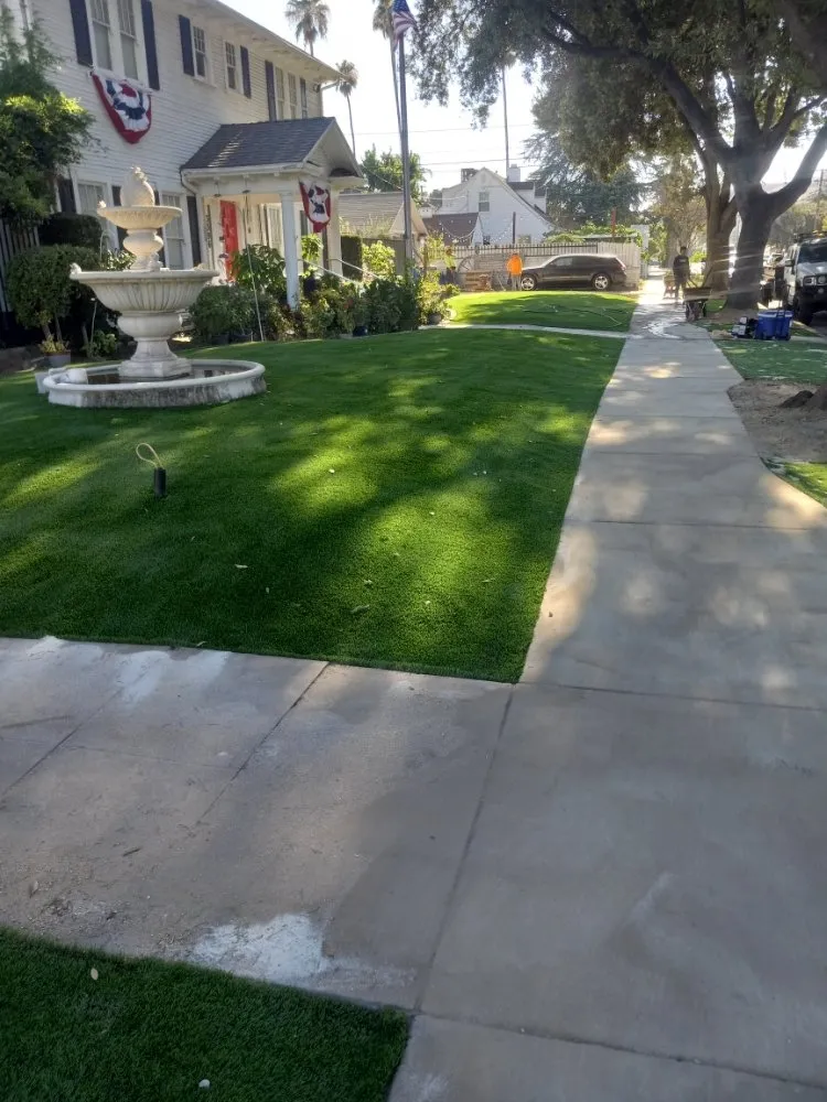 Top-rated yard cleanup service experts serving San Bernardino, CA - Bears Landscaping
