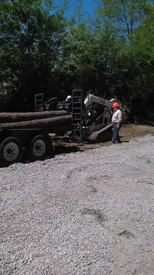 Bear's Lawn and Tree Service Logo