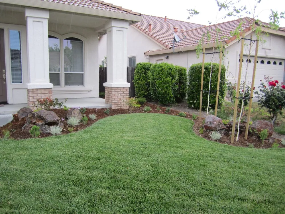 Trusted yard maintenance in Brentwood, CA - Bearscapes Nursery & Landscape