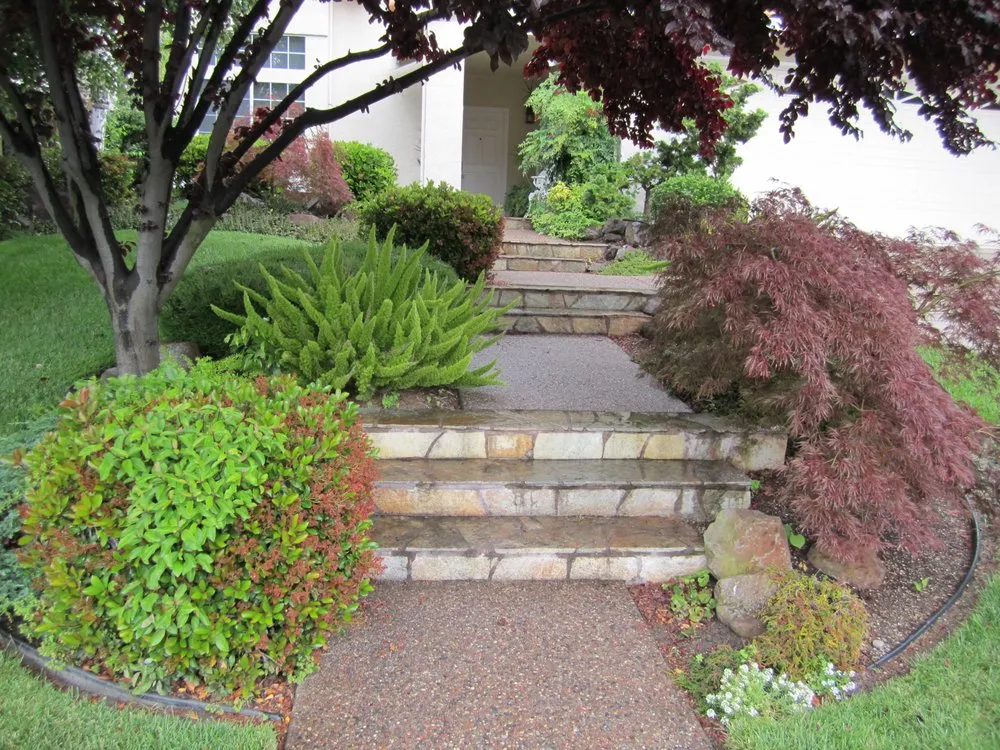 Local outdoor landscaping in Brentwood, CA - Bearscapes Nursery & Landscape