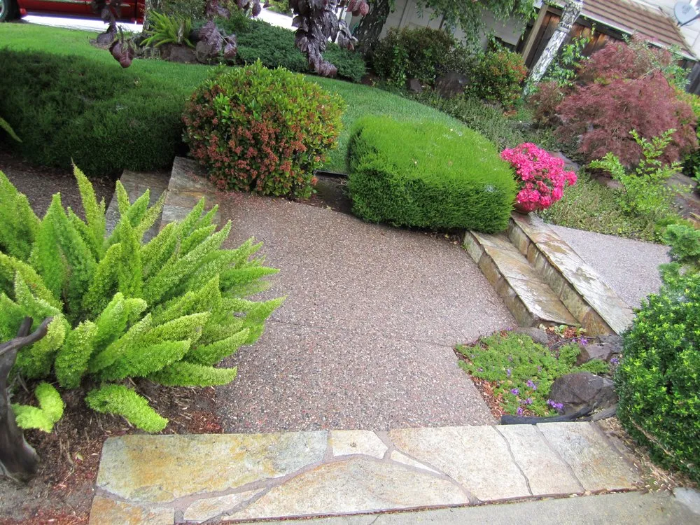 Reliable landscaping services in Brentwood, CA by Bearscapes Nursery & Landscape