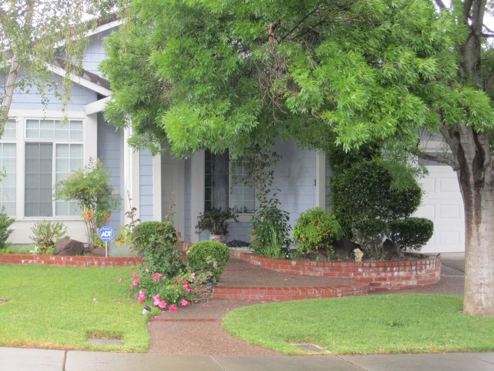 Local outdoor landscaping in Brentwood, CA by Bearscapes Nursery & Landscape