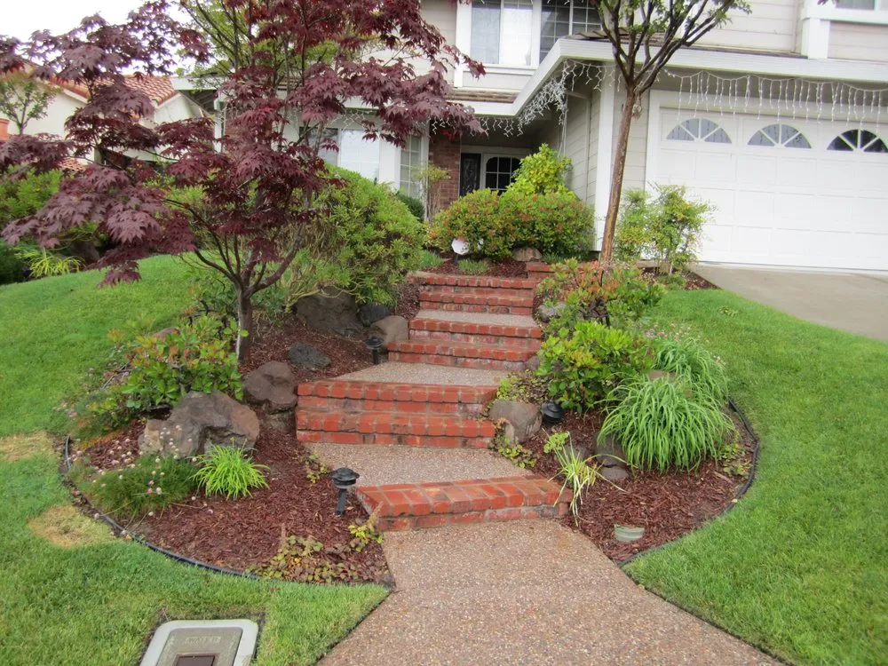 Local yard cleanup service for outdoor upgrades across Brentwood, CA - Bearscapes Nursery & Landscape