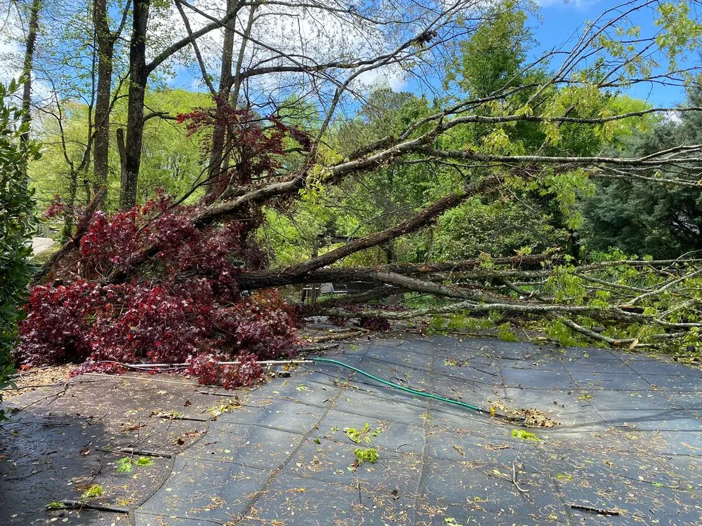 Custom landscape installation in Alpharetta, GA - Bearwoods