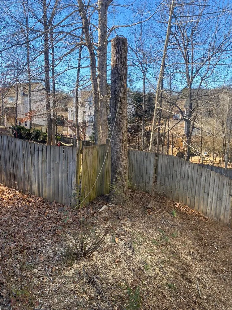 Local yard cleanup service experts serving Alpharetta, GA - Bearwoods