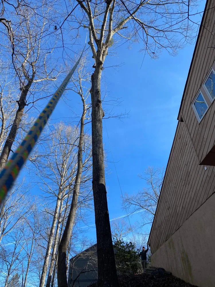 Top-rated lawn care service in Alpharetta, GA - Bearwoods