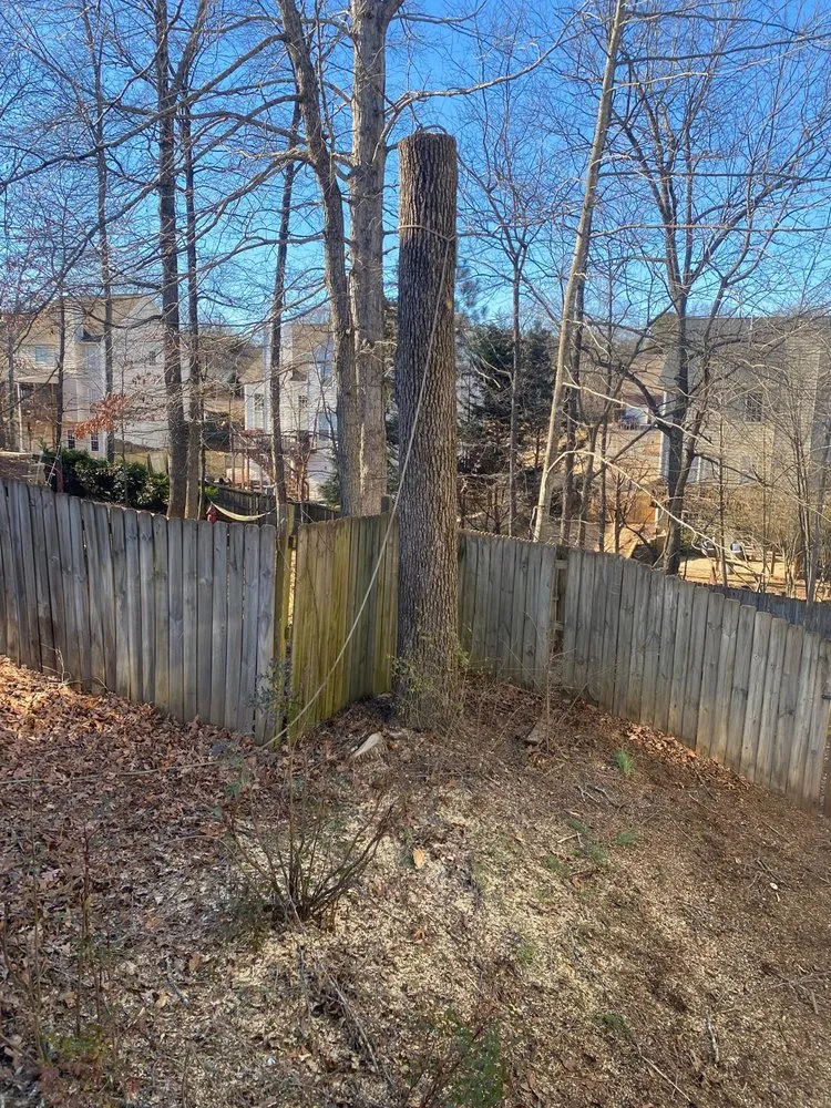 Reliable yard cleanup service for homes across Alpharetta, GA - Bearwoods