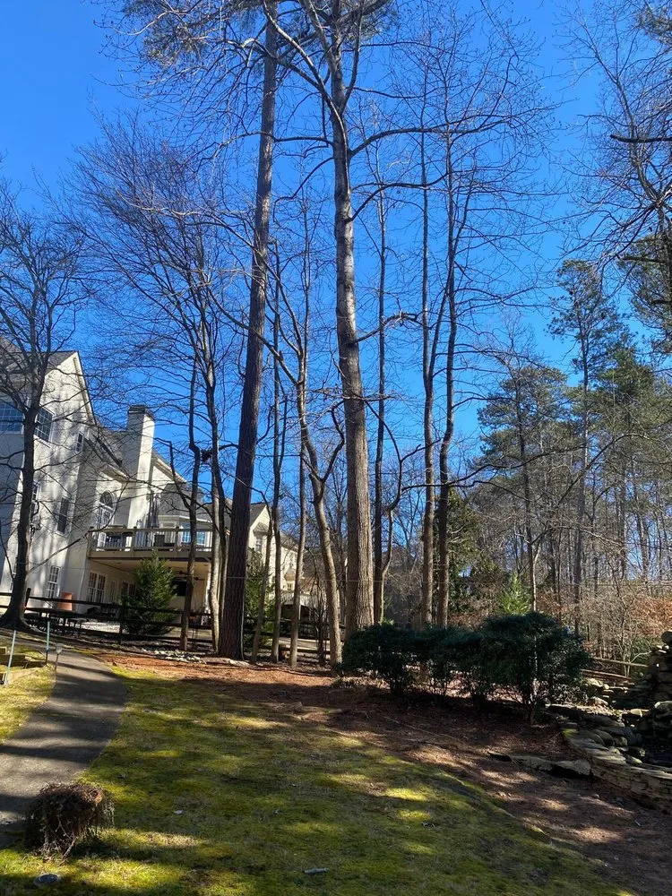 Reliable landscape design for year-round maintenance in Alpharetta, GA by Bearwoods