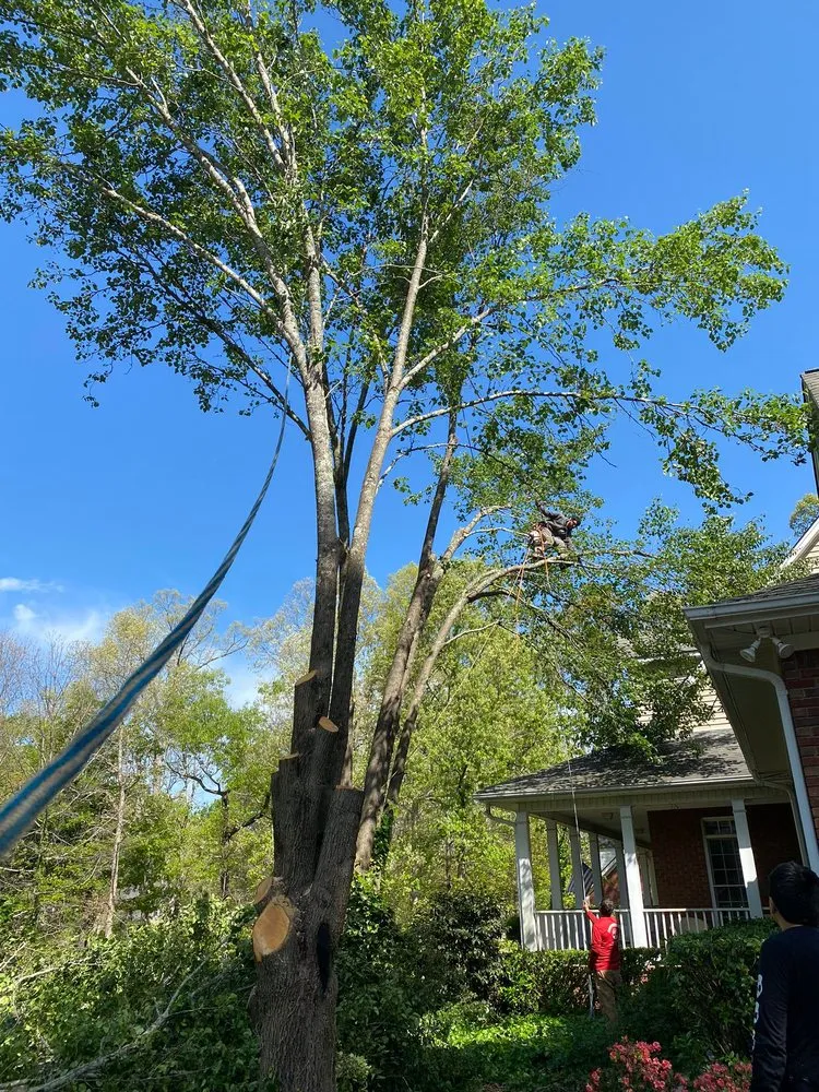 Local garden landscaping for homes across Alpharetta, GA - Bearwoods