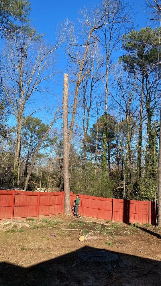 Affordable lawn care service with custom design in Alpharetta, GA by Bearwoods