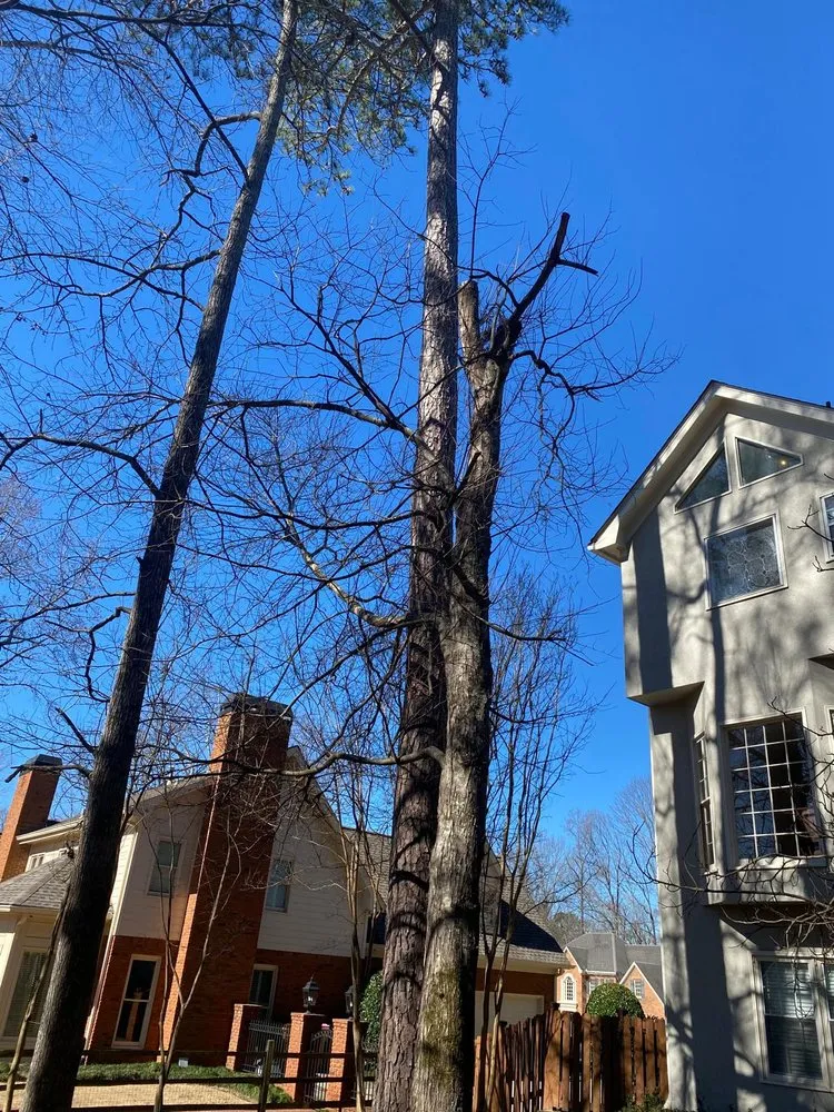 Affordable landscape installation experts serving Alpharetta, GA - Bearwoods