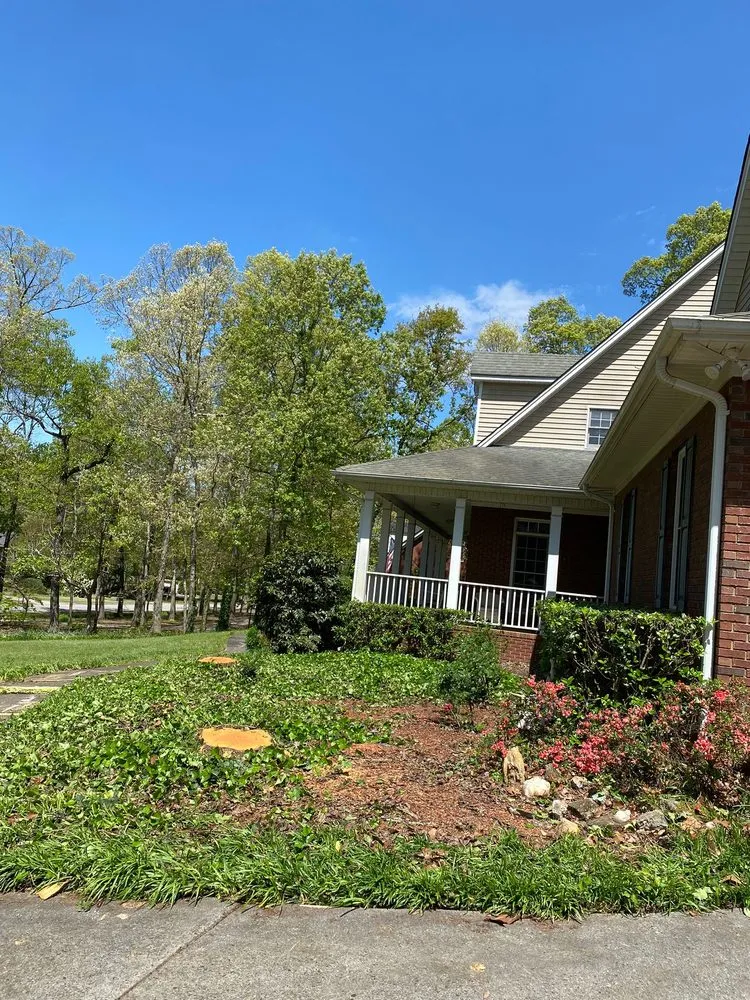 Top-rated yard maintenance experts serving Alpharetta, GA - Bearwoods