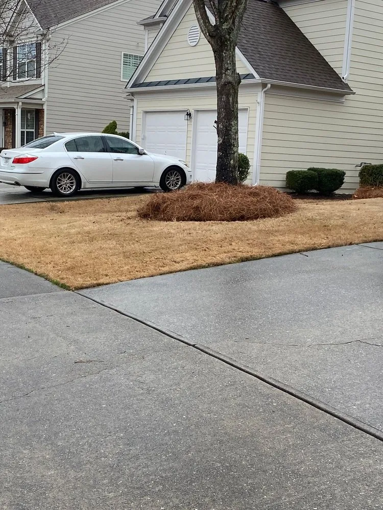 Trusted residential landscaping in Alpharetta, GA by Bearwoods