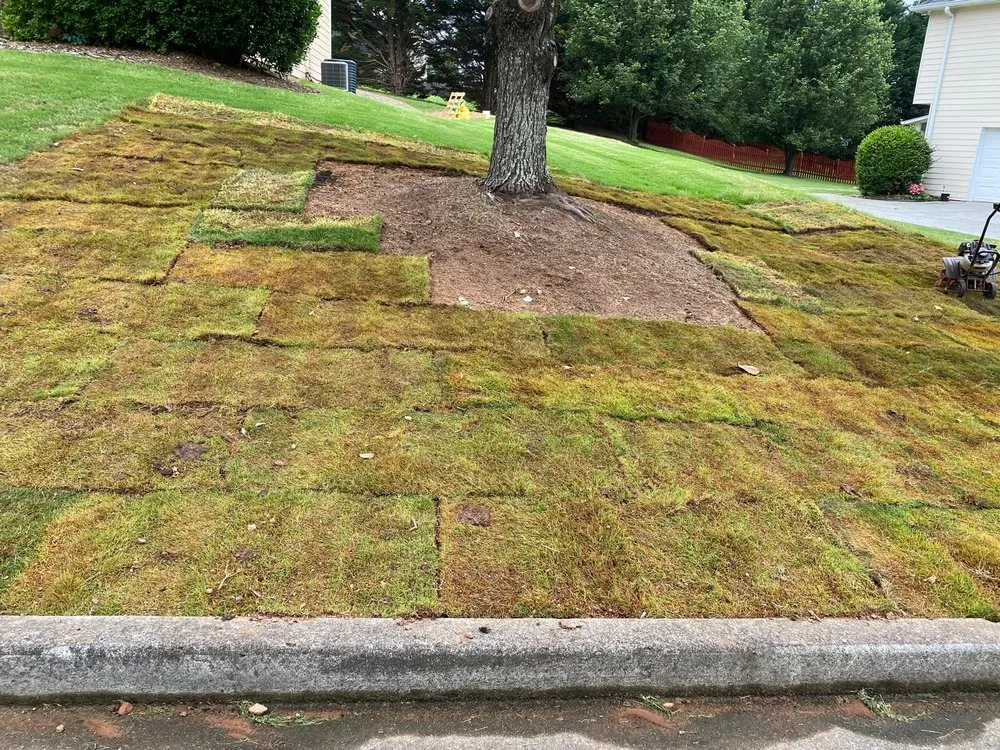 Trusted lawn mowing service in Alpharetta, GA - Bearwoods