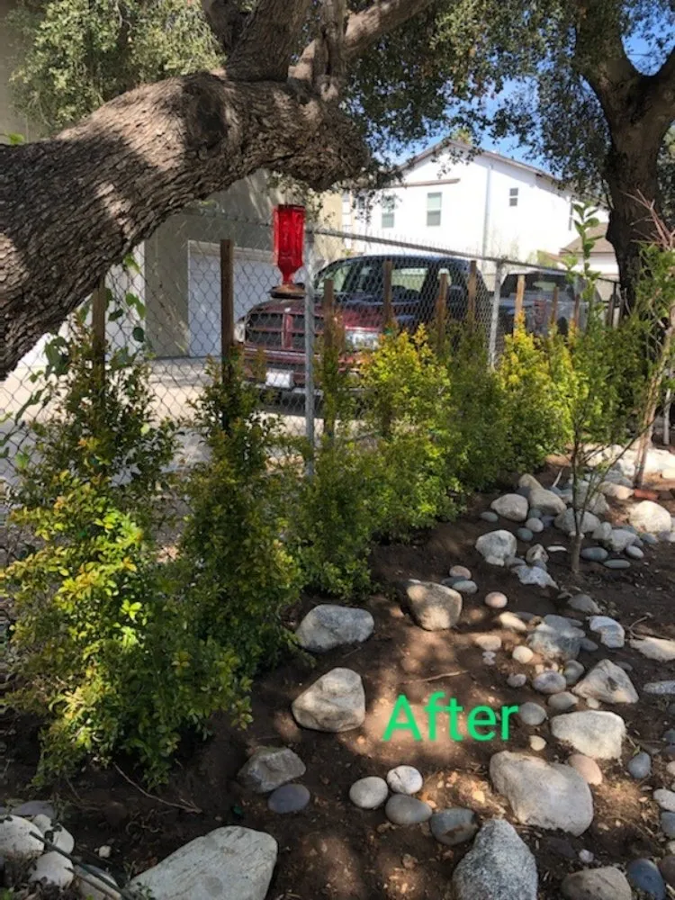 Affordable lawn mowing service in Azusa, CA by Beary Nice Landscape Services