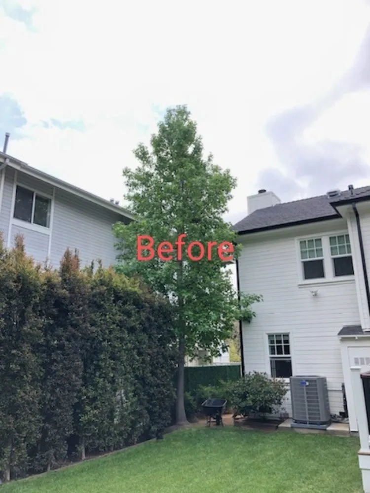 Affordable yard maintenance for beautiful yards across Azusa, CA - Beary Nice Landscape Services