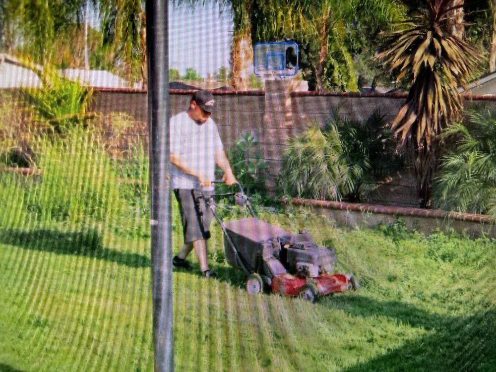 Professional outdoor landscaping experts serving Azusa, CA - Beary Nice Landscape Services