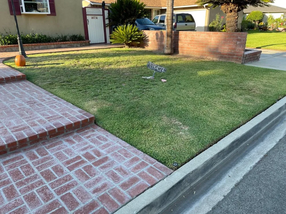 Affordable yard cleanup service in Azusa, CA by Beary Nice Landscape Services