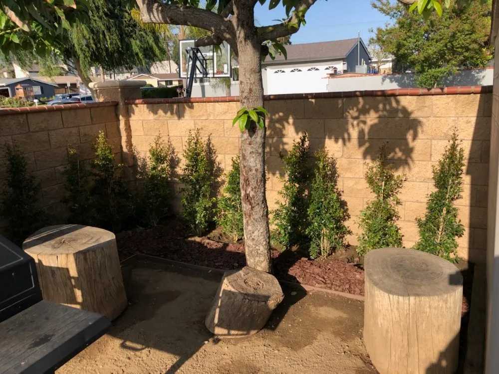 Expert garden landscaping for year-round maintenance across Azusa, CA - Beary Nice Landscape Services