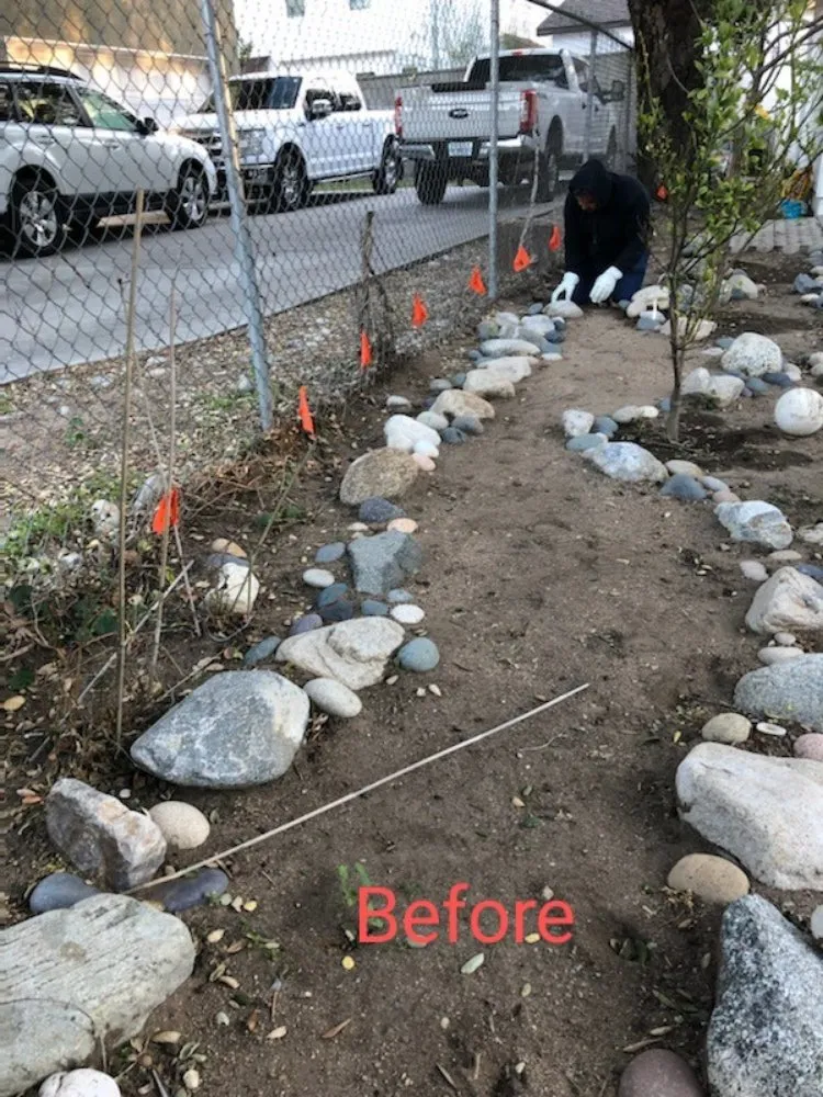 Top-rated yard cleanup service with custom design across Azusa, CA - Beary Nice Landscape Services