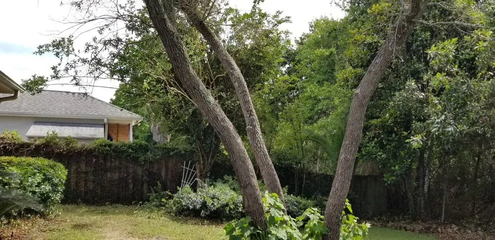 Custom landscape design in Navarre, FL by Beasley Contractors